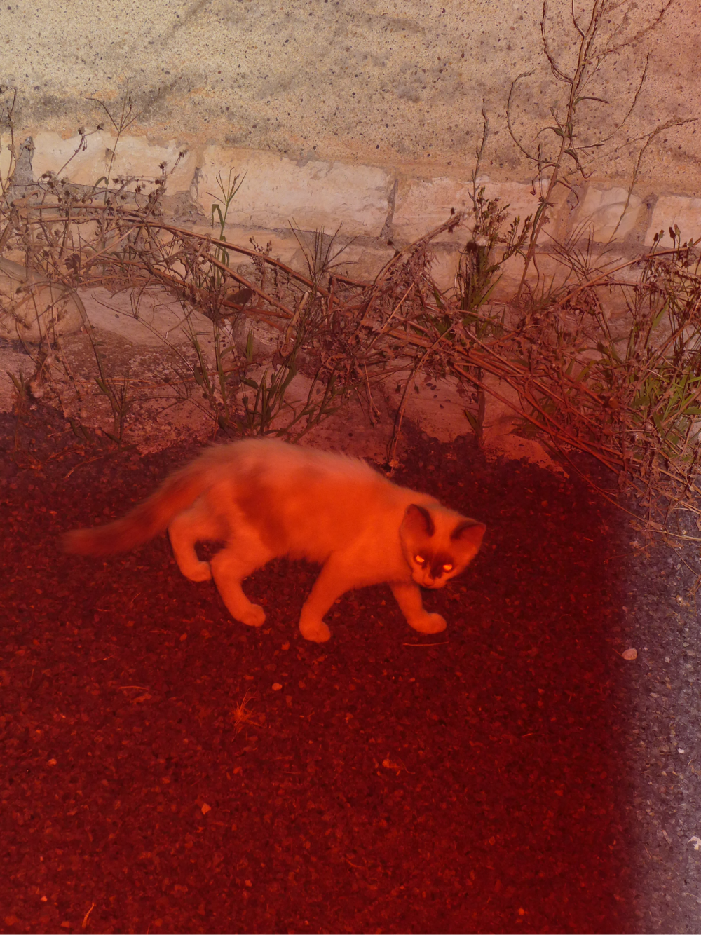 ANN WEBSITE NEWS DETAILS 191223 07