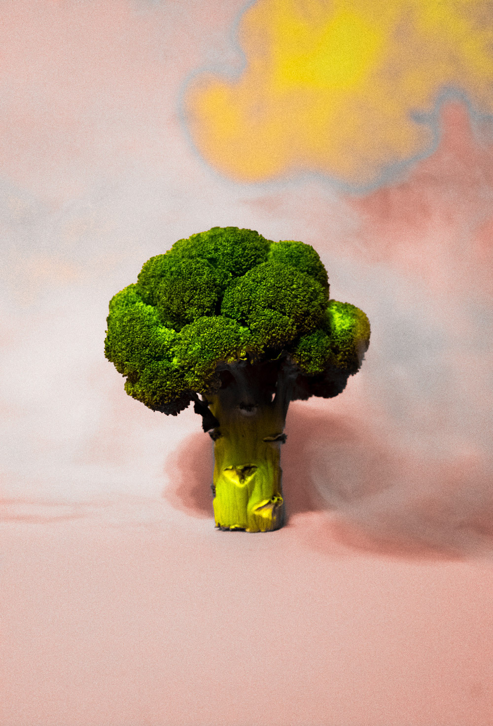 Broccoliweed52